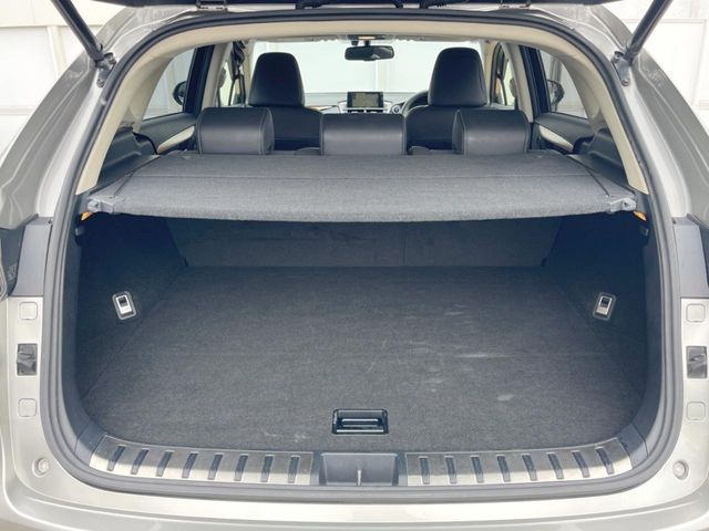Lexus NX 9