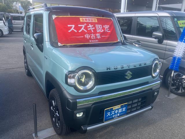 Suzuki Hustler 6