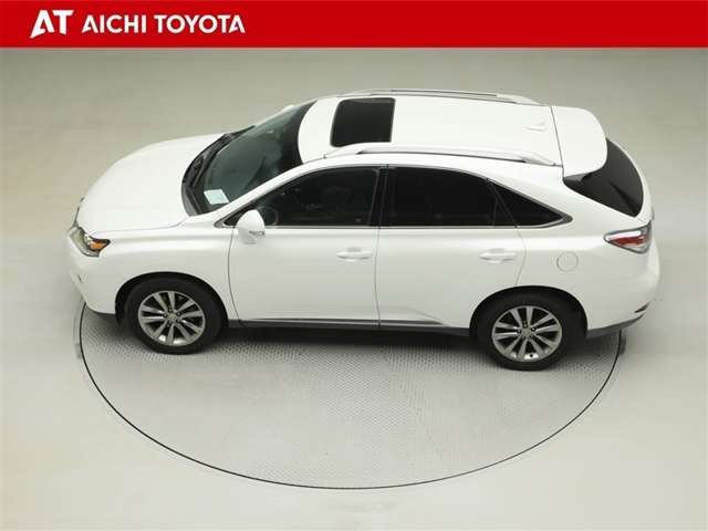 Lexus RX 11