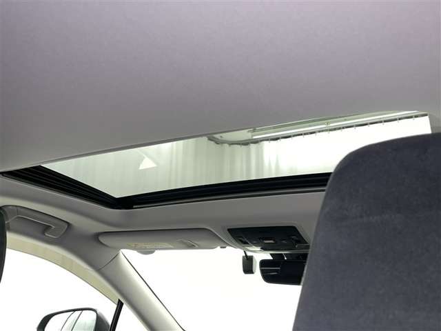 Lexus RX 11