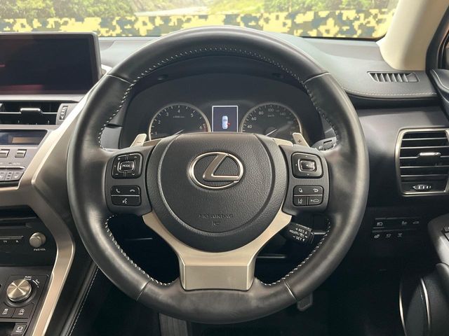 Lexus NX 11
