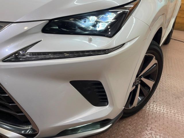 Lexus NX 12
