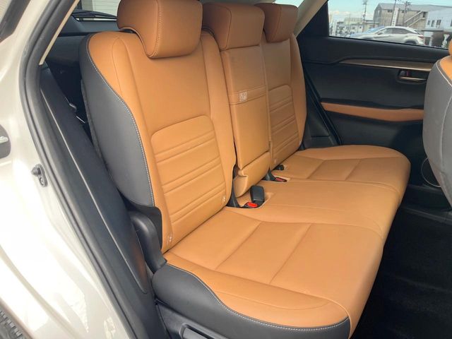 Lexus NX 11