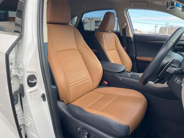 Lexus NX 10