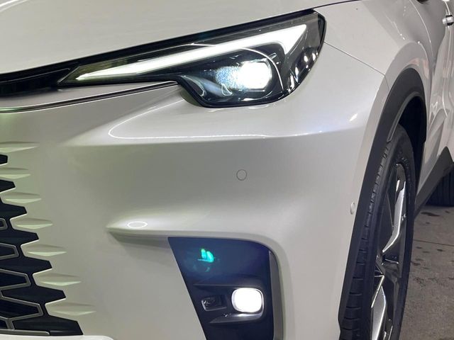 Lexus LBX 12