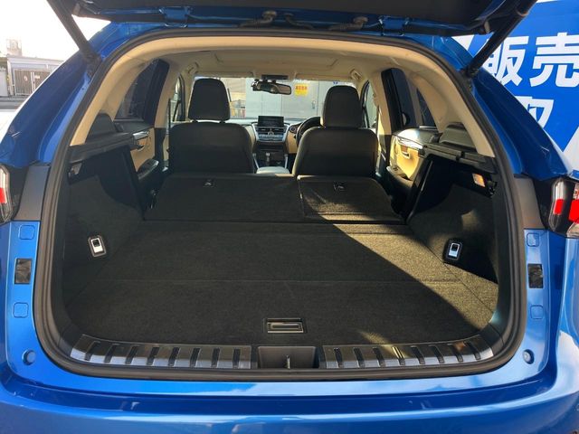 Lexus NX 11