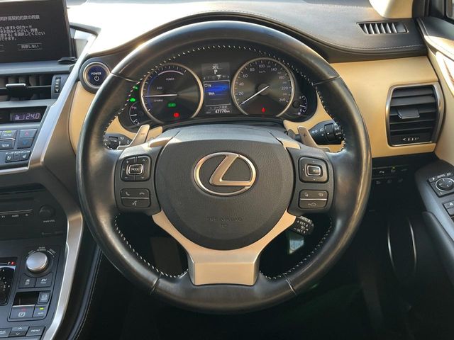 Lexus NX 12