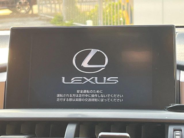 Lexus NX 4
