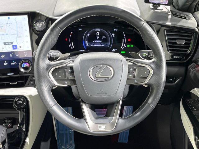 Lexus NX 11