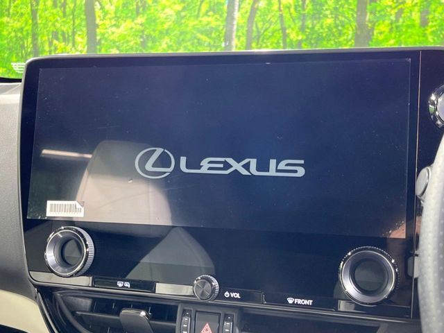 Lexus NX 3
