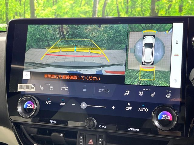 Lexus NX 4