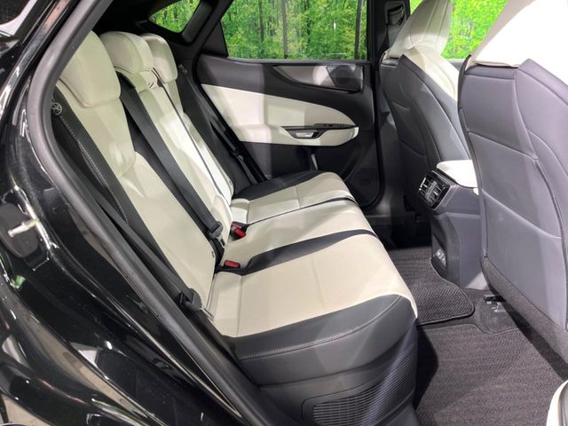 Lexus NX 9
