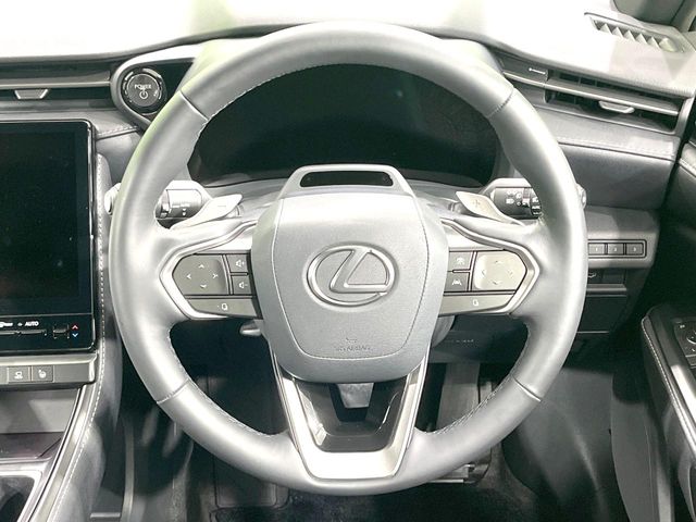 Lexus LBX 12