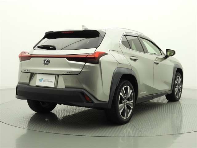 Lexus UX300e 11
