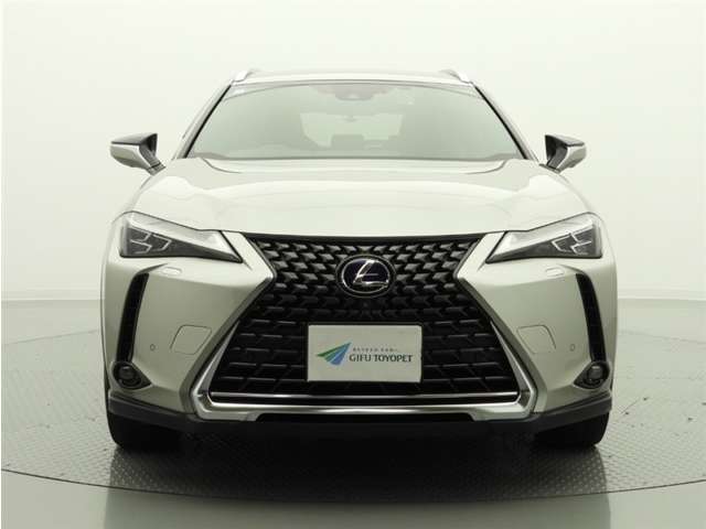 Lexus UX300e 8