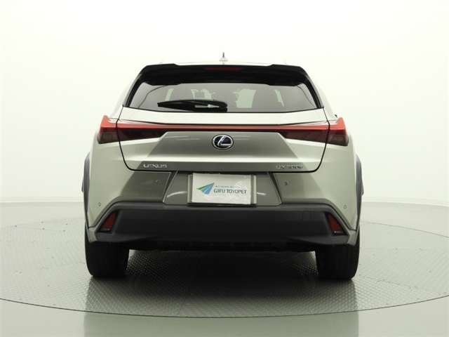 Lexus UX300e 10