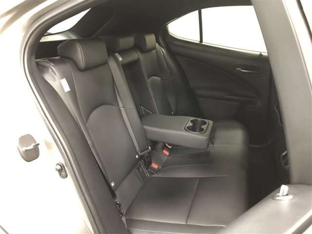 Lexus UX 11