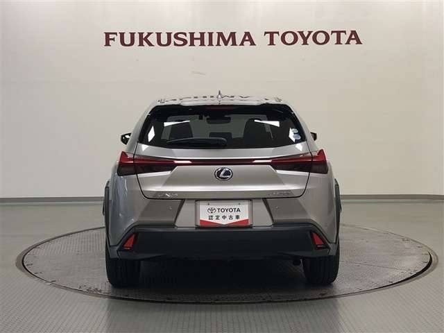 Lexus UX 6