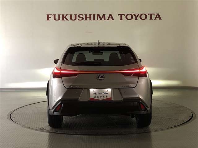 Lexus UX 8