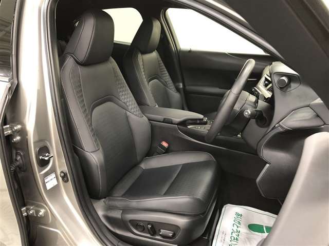 Lexus UX 10