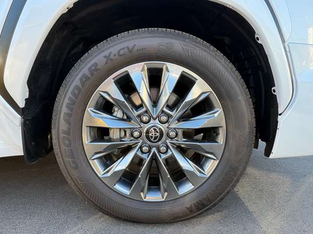 Toyota Land Cruiser 300 9