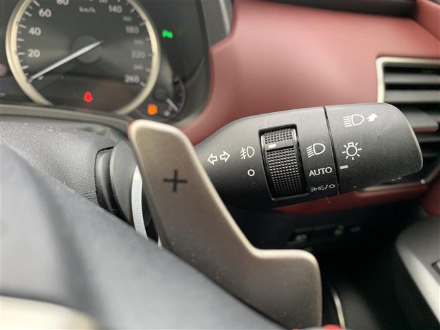 Lexus NX 9