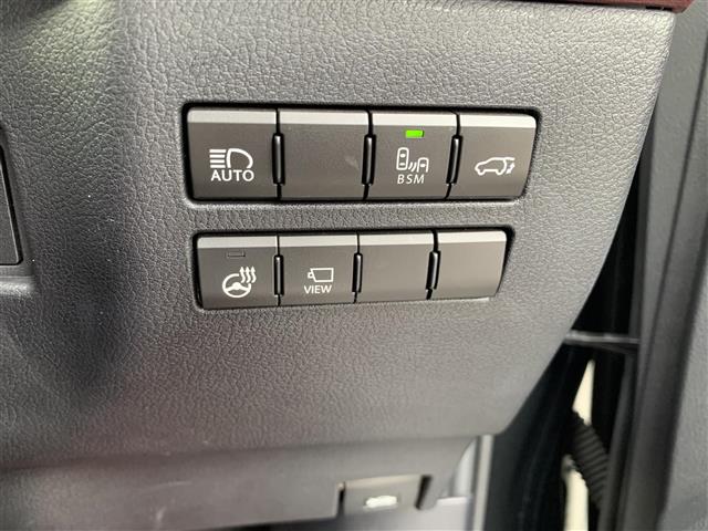 Lexus NX 10