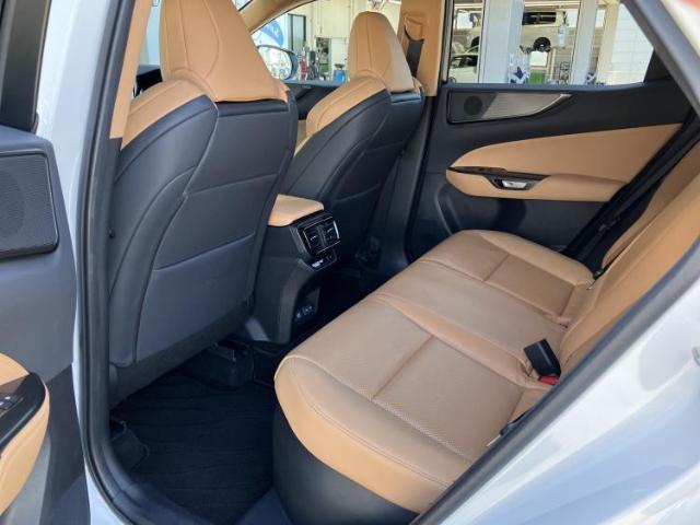 Lexus NX 10