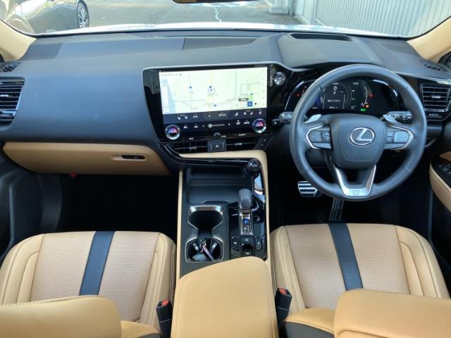 Lexus NX 11