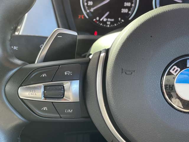 BMW X1 10