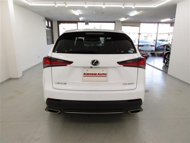 Lexus NX 6