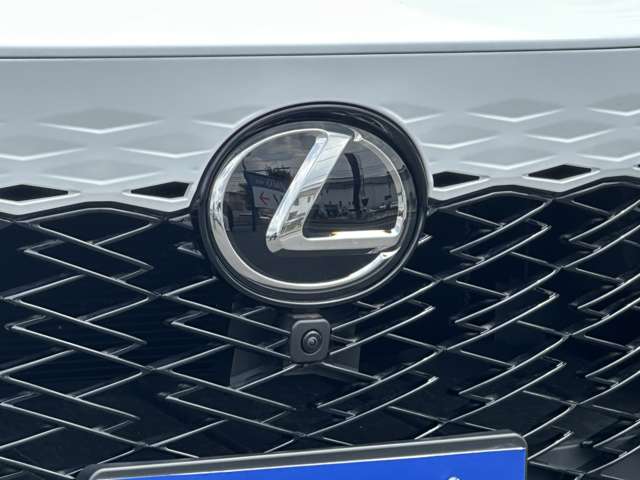 Lexus RX 9