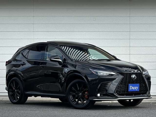 Lexus NX 8