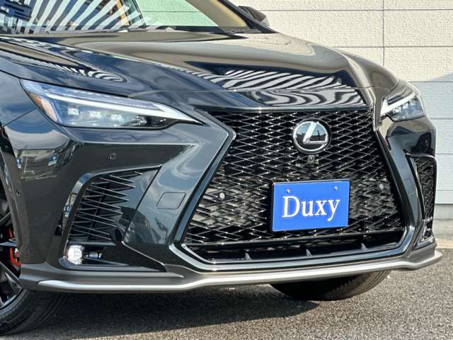 Lexus NX 10