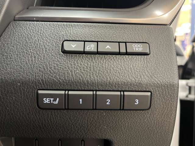 Lexus GX 12