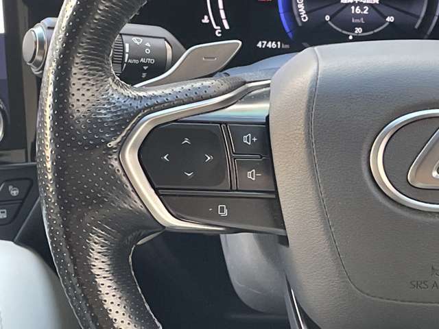 Lexus NX 10