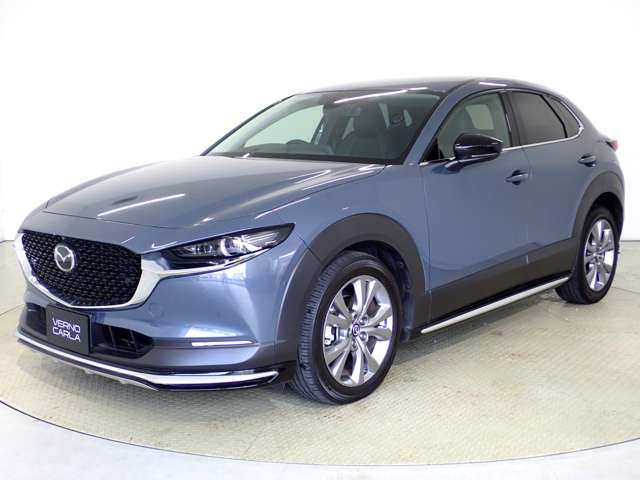 Mazda CX-30 12