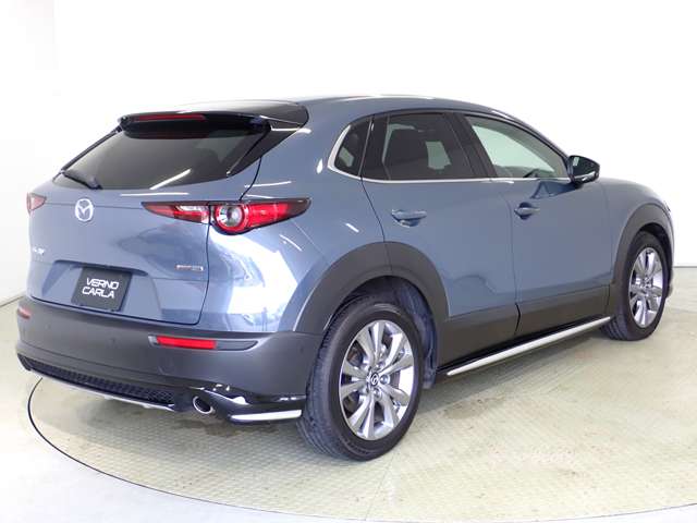 Mazda CX-30 10
