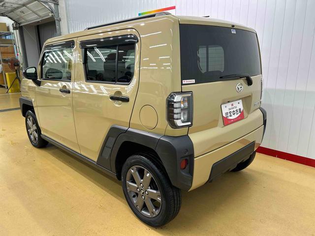 Daihatsu Taft 11