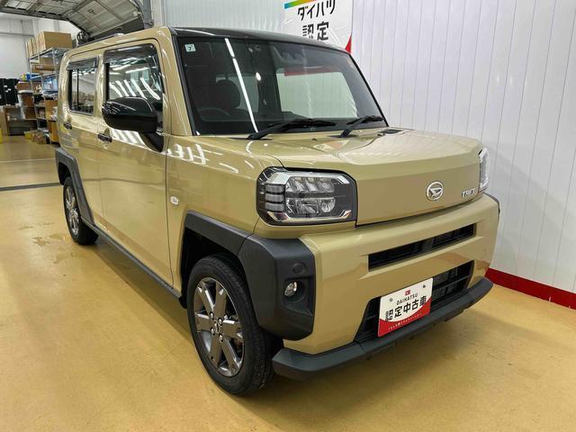 Daihatsu Taft 8