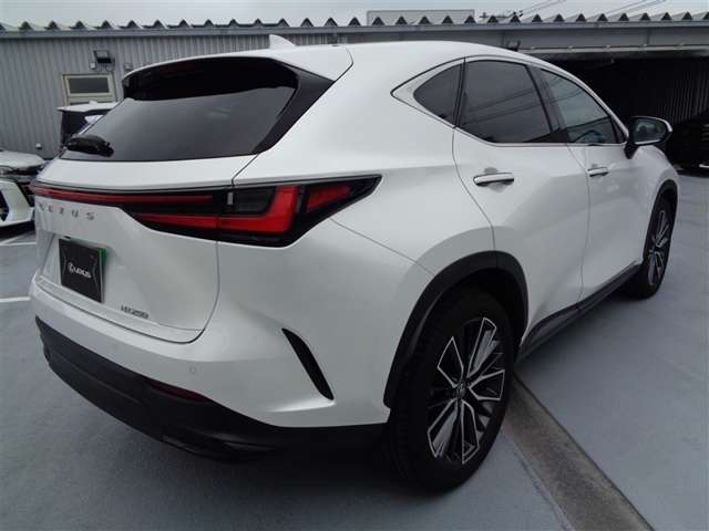 Lexus NX 11