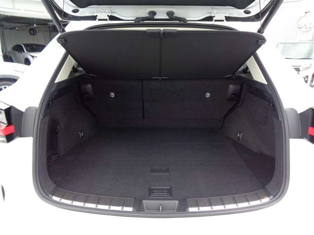 Lexus NX 12