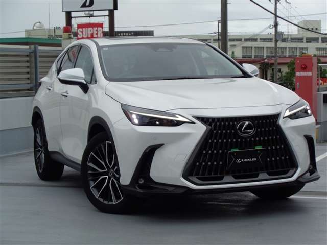 Lexus NX 8