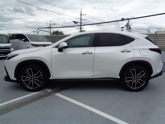 Lexus NX 9