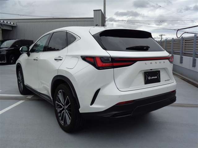 Lexus NX 10