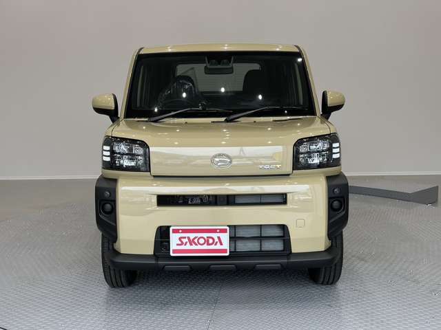 Daihatsu Taft 12