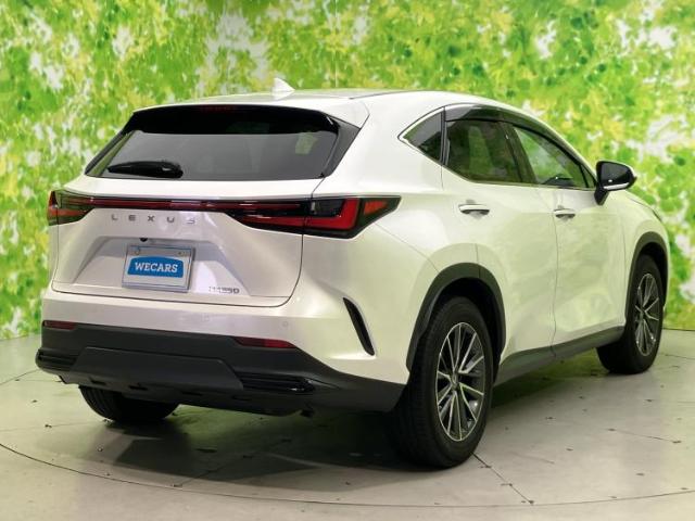 Lexus NX 6