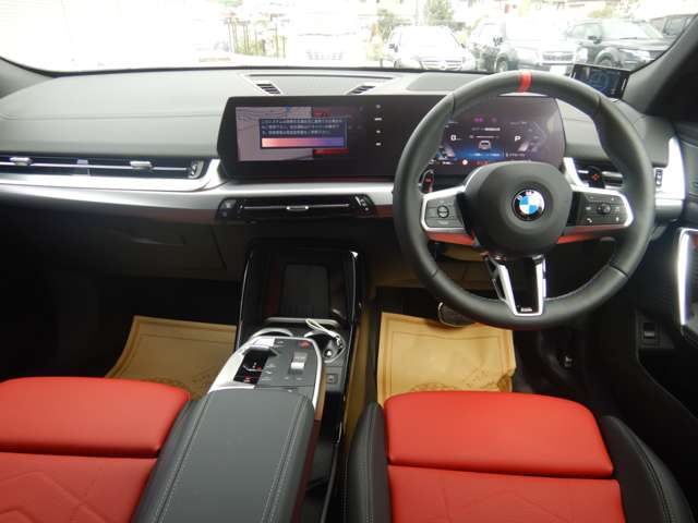 BMW X2 9