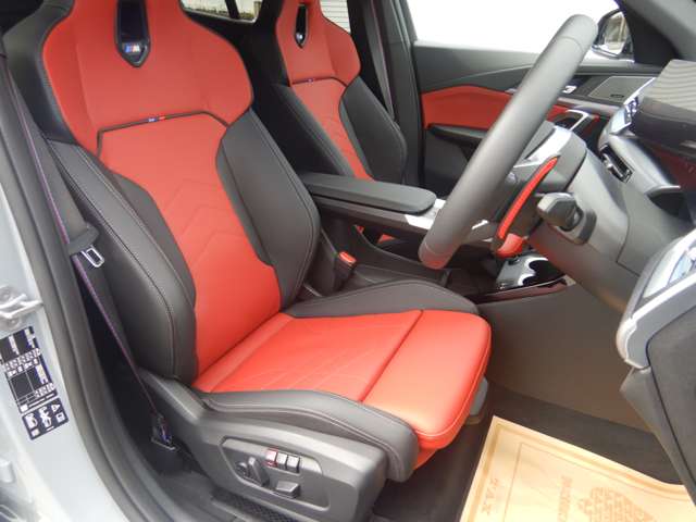 BMW X2 10