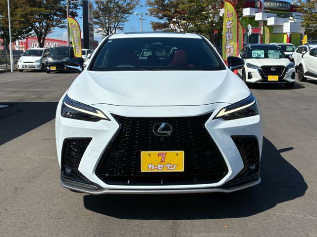 Lexus NX 11